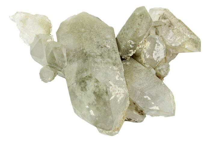 Chlorite Included Quartz Crystal Cluster - Pakistan #244296